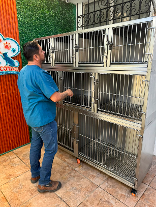 Paciente canino feliz en la clínica
