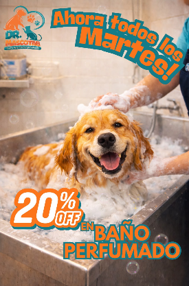 Martes de baño perfumado 20% off
