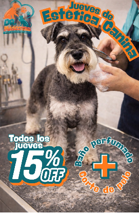 Jueves de estética canina 15% off