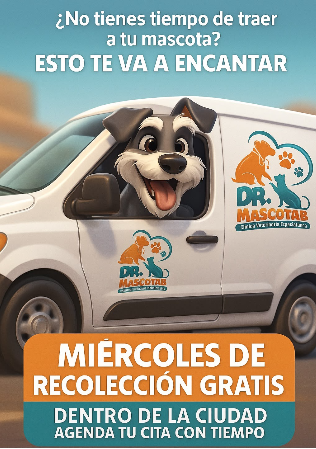 Miércoles de recolección gratis
